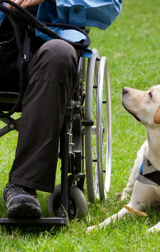 NDIS Supported Accommodation